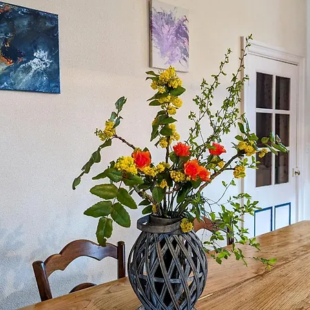 Maison Independante Avec Terrasse Et Jardin Clos A Yssingeaux, Proche Loisirs Et Commerces - Fr-1-582-144 Yssingeaux